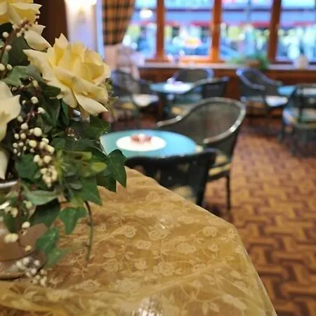 Отель Hotel Central
